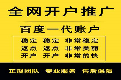 百度竞价与搜索引擎优化（SEO）结合的经典案例